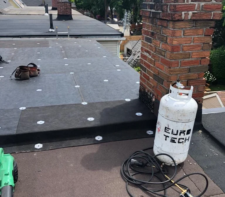 How flat roofs may give you the chance to put a garden on top of your home