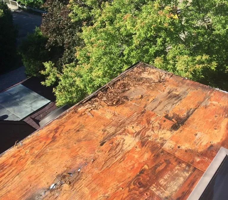 Flat Roofing in Etobicoke: Best Systems for Homes and Businesses