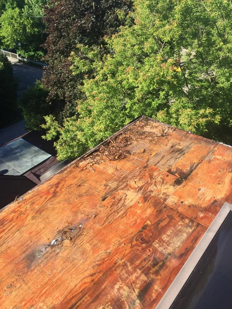 Cold-ply flat roof membrane with ceramic granule surfacing in Toronto, view 14