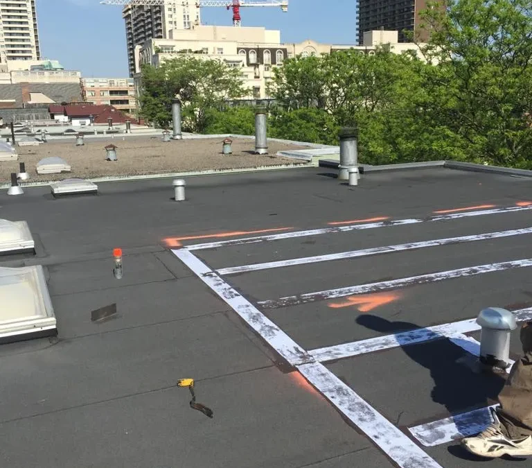 Granulated Cold-Ply Field Membrane, Toronto