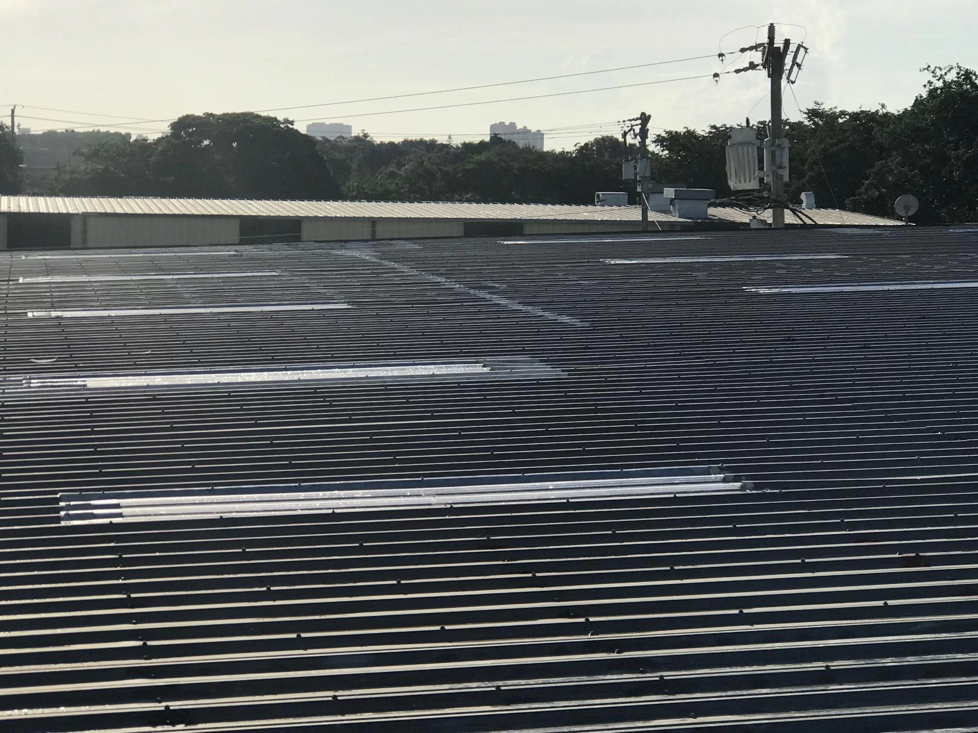 Flat roof membrane application detail in Toronto, view 1