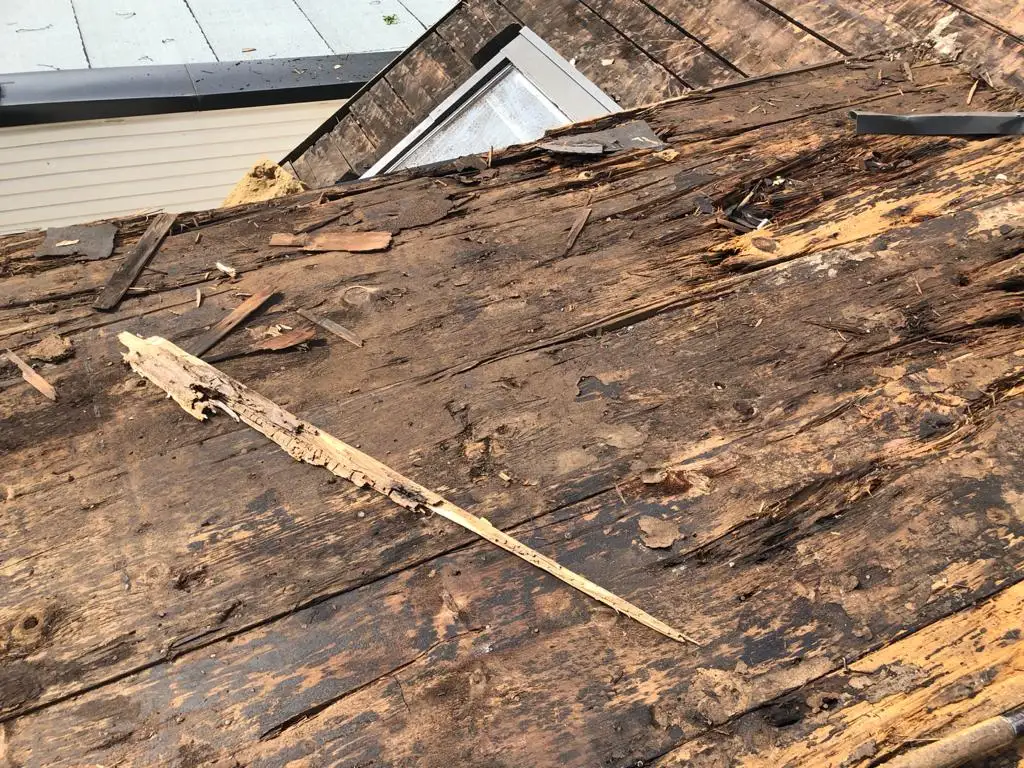 Attic space removal and rebuild above a Toronto flat roof, view 1