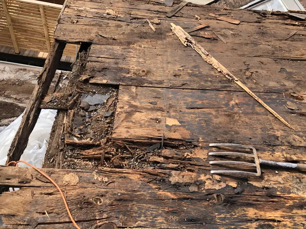 Attic space removal and rebuild above a Toronto flat roof, view 24
