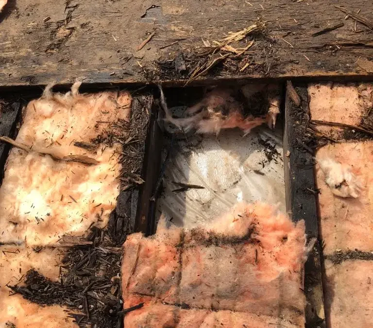 Flat Roof Vents and Breather Systems in Toronto: Stopping Trapped Moisture and Blisters