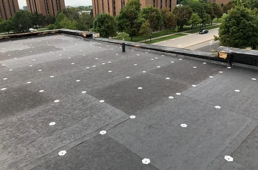 How Roof Repair Would Give Your House A Newer Appearance